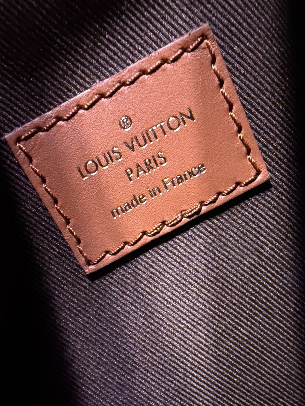 Louis Vuitton Loop Hobo in Monogram - Picture 8 of 16